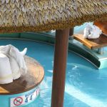 photo-mar-21-8-21-59-pm