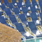 photo-mar-21-8-22-12-pm