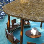 photo-mar-21-8-23-39-pm