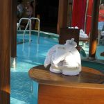 photo-mar-21-8-24-23-pm