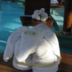 photo-mar-21-8-24-38-pm