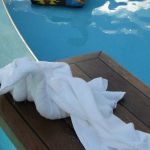 photo-mar-21-8-24-50-pm