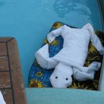 photo-mar-21-8-25-07-pm