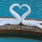 photo-mar-21-8-25-19-pm