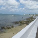 photo-mar-22-12-36-47-am