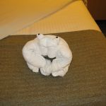 photo-mar-22-8-11-51-am