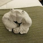 photo-mar-22-8-12-00-am