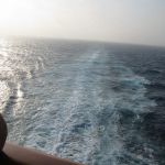 photo-mar-22-8-37-59-pm