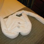 photo-mar-23-7-37-31-am