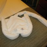 photo-mar-23-7-37-41-am